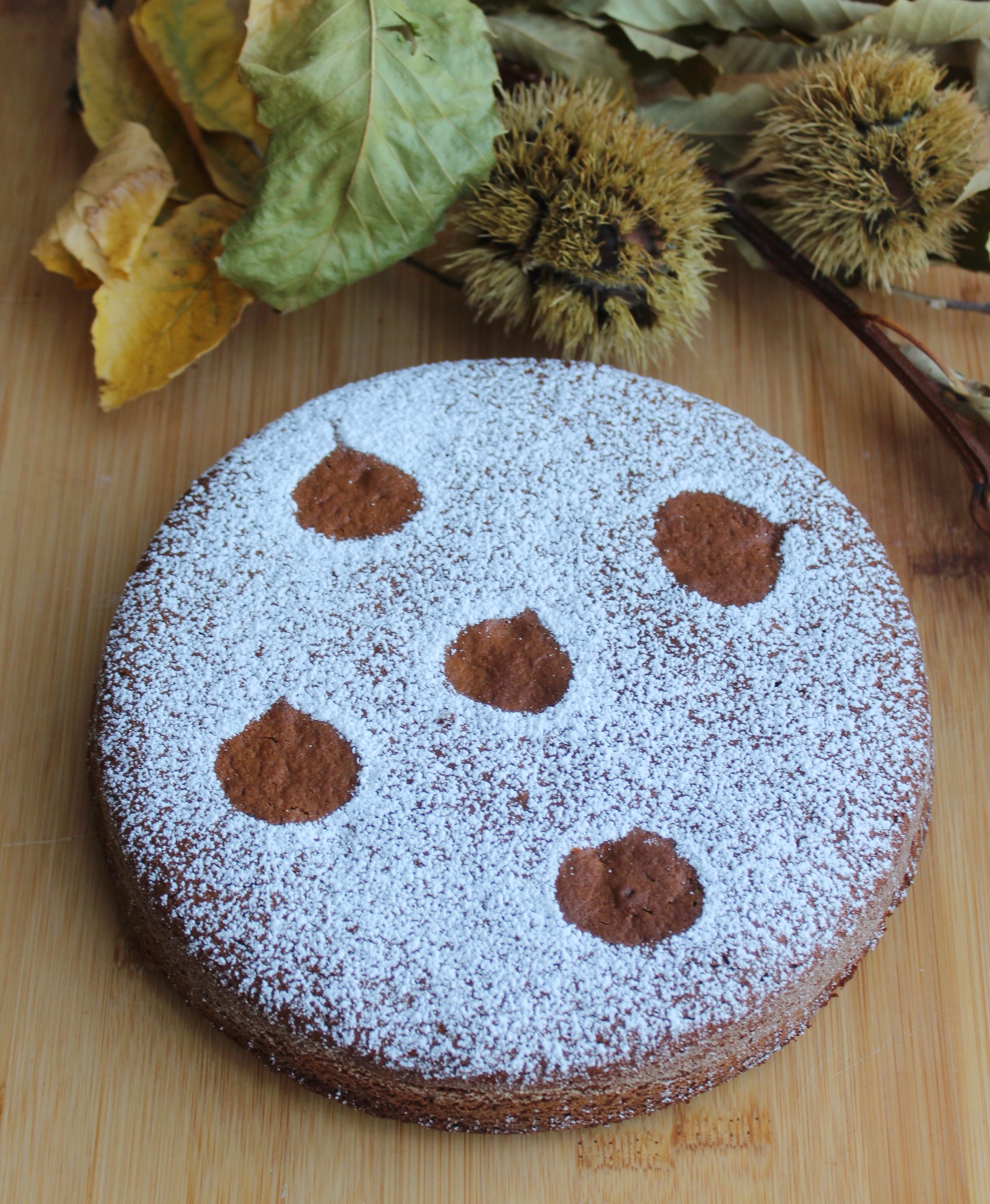 Torta Con Farina Di Castagne E Gocce Di Cioccolato La Mia Cucina Gluten Free